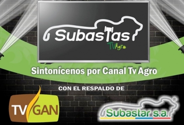Con salas VIP, venta telefónica y presencial, se celebró la primera Subasta. Foto: @TvGanColombia. Subastas Tv Agro 2018, TVGAN 2018, Subastas TvAgro, Subastar 2018, Inauguración Subastas TvAgro, 6 años TVGAN, venta de ganado por televisión, venta de ganado en línea, venta de ganado Internet, vender ganado por Internet, comercializadora de ganado, CONtexto ganadero, ganaderos colombia, noticias ganaderas colombia