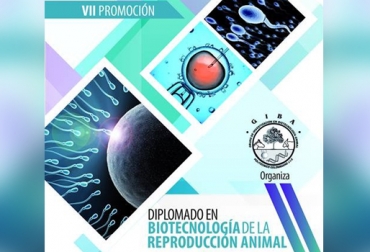 El diplomado tendrá sesiones prácticas en diversas ganaderías del departamento antioqueño. Foto: Cortesía. Biotecnología reproducción animal, Diplomado Politécnico Colombiano Jaime Cadavid Isaza, transferencia de embriones o inseminación artificial, método reproducción ganado, factores elección método de reproducción ganado, diplomado en biotecnología animal Colombia, programas de biotecnología, CONtexto ganadero, ganaderos Colombia, noticias ganaderas Colombia