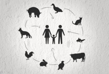 “Las tendencias de algunas de las zoonosis es hacia el aumento en humanos y en animales en Colombia”, afirmó Ángela Natalia Agudelo Suárez. Foto: Diario La Nación - contextoganadero.com Enfermedades zonóticas entre 1975 y 2014, Rabia en aumento, Brucelosis en aumento, tesis universidad nacional, política pública de zoonosis insuficiente, CONtexto Ganadero, noticias de ganadería colombiana.