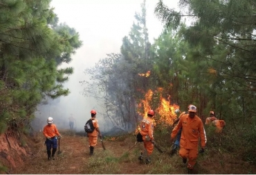 No se recomienda realizar labores de limpieza de potreros en época de verano prolongado; si las hace, concéntrese solamente en las plantas indeseables, tóxicas y espinosas. Foto: IGAC / Defensa Civil verano, sequias, medidas para mitigar en la ganadería para mitigar las sequías, MADR, Fedegán-FNG, CIVAP, reducción de la carga animal, Manejo del rastrojo, Utilización estratégica de cercas vivas, CONtexto ganadero, ganadería Colombia, Noticias ganaderas Colombia
