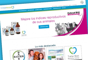 Los 2 portales están al servicio de los profesionales del sector. Foto: Bayer. Bienestar Animal, bienestar animal en ganadería, 5 libertades del ganado, buen trato al ganado, msd colombia, ganadería colombia, CONtexto ganadero
