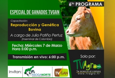 El programa inicia a las 6 de la tarde, pero los ganaderos en Barranquilla podrán asistir a una capacitación antes. Foto: TVGAN Programa especial TVGAN Asoganorte 2018, TVGAN marzo 2018, programa especial TVGAN 2018, TVGAN Alianza Asoganorte 2018, eventos TVGAN 2018, TVGAN Remates, TVGAN Asoganorte, Vender ganado Colombia, comprar ganado Colombia, tvgan fedegán, CONtexto ganadero, ganaderos colombia, noticias ganaderas colombia