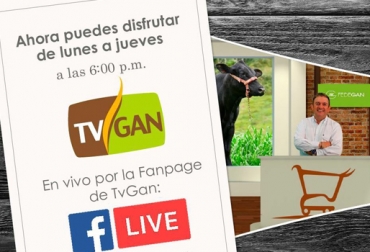Desde el pasado miércoles 21 de febrero, la vitrina ganadera emite sus programas a través de Facebook Life. Foto: TVGAN Programa TVGAN, TVGAN Facebook Life, Programa especial TVGAN 2018, TVGAN marzo 2018, programa especial TVGAN 2018, comprar vacas en Colombia, precio vacas Colombia, eventos TVGAN 2018, TVGAN remates, TVGAN Asoganorte, Vender ganado Colombia, comprar ganado Colombia, tvgan fedegán, CONtexto ganadero, ganaderos colombia, noticias ganaderas colombia