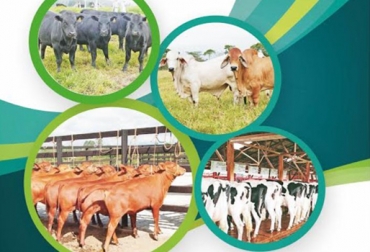 El primer Congreso de Reproducción y Genética en bovinos tendrá lugar en el auditorio de la UDCA en la calle 222 de Bogotá. Foto: Cortesía Congreso reproducción bovina, Congreso Reproducción y Genética Bovina Bogotá 2018, Evento reproducción bovina Bogotá abril 2018, primer congreso nacional de reproducción y genética en bovinos, primer congreso nacional de reproducción y genética en bovinos Bogotá abril 2018, periódico El agro, reproducción en bovinos congreso, CONtexto ganadero, ganaderos colombia, noticias ganaderas colombia