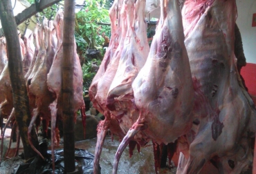 La carne de dudosa procedencia es una de las problemáticas que viene atacando constantemente el Invima. Foto: Cortesía. Ganadería, ganadería colombia, noticias ganaderas, noticias ganaderas colombia, CONtexto ganadero, carne, carne colombia, sacrificio clandestino, carne de dudosa procedencia, sacrificio ilegal en colombia, invima, operativos invima, javier guzmán, policía nacional