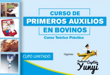 La Fundación Capitán Yunyi organizado este curso para ganaderos, mayordomos o estudiantes. Foto: Cortesía Curso de primeros auxilios en bovinos Fundación Capitán Yunyi, primeros auxilios ganadería, primeros auxilios bovinos, Fundación Capitán Yunyi, Fundación Luis Alberto Martínez, estudiantes Fundación Capitán Yunyi, Becas para estudiar en la universidad Colombia, becas para el sector agropecuario, fundación ayuda jóvenes Colombia, jóvenes del campo en Colombia, CONtexto ganadero, ganaderos colombia, noticias ganaderas colombia