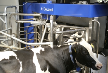 Muchos jóvenes en países desarrollados han optado por la lechería gracias al uso de ordeños robotizados. Foto: DeLaval Tecnología en ganadería, tecnología en el campo, ordeño robotizado, emprendimiento en ganadería, drones en ganadería, tecnología sector rural, empresa ganadera, emprendimiento en ganadería, Ganadería colombiana, CONtexto ganadero, ganaderos colombia, noticias ganaderas colombia