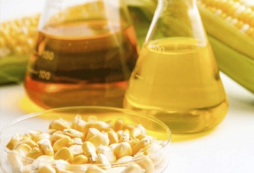 El uso de los granos de destilería como el fermento de maíz, ha incrementado en la alimentación del ganado. Foto: bioethanol-kamin-shop.de. Alimentos económicos para bovinos, granos destilería ganado bovino, subproductos alimentación bovina, suplementación bovina, requerimientos nutricionales ganado bovino, contenido nutricional subproductos ganado bovino, tipos de subproductos para alimentar al ganado, CONtexto ganadero, ganaderos Colombia, noticias ganaderas Colombia