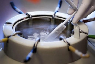 “El impacto del embrión congelado in vitro para transferencia directa es que ya no se va a hacer inseminación artificial”, dijo Julio Olaya. Foto: Prosegan. Embriones congelados in vitro, éxito, mejoramiento genético, remplazo de inseminación artificial, poco porcentaje de éxito, debate, pionero en biotecnología, CONtexto Ganadero, noticias de ganadería colombiana.