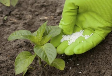 “El 50 % del rendimiento depende de una adecuada nutrición de los cultivos”, dijo, Oscar Pérez. Foto: lexlatin.com Fertilizantes Premium, aumentan rendimiento por hectárea, productos naturales, varios nutrientes a la vez, estudios científicos, suben productividad, opción de nutrición, precios estables, CONtexto Ganadero, noticias de ganadería colombiana.