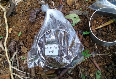 La investigación fue adelantada en cuatro veredas del corregimiento Santa Rosa de Tapias. Foto: Élida Marín Beitia - Agencia de Noticias UN. Ganadería, ganadería colombia, noticias ganaderas, noticias ganaderas colombia, CONtexto ganadero, élida marín betía, Universidad Nacional Sede Palmira, asociación de productores agroecológicos de santa rosa de tapias, FAO, diversidad agroecológica, 10 elementos de la agroecología, sistemas integrados de producción agropecuaria