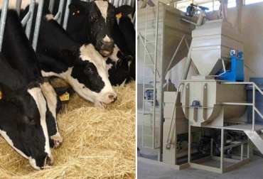 Conociendo la disponibilidad de materias primas, usted puede elaborar un concentrado de acuerdo a sus necesidades. Foto: Navarra.com - El Español - syppasa.com Materias primas alimentación ganado, materias primas ganado, materias primas ganadería, alimentación ganado, nutrición ganado, nutrición vacas, materias primas alimento vacas, materias primas Colombia, CONtexto ganadero, ganaderos Colombia, noticias ganaderas Colombia