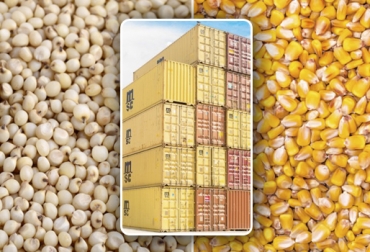 Los ganaderos pueden comprar una mula de maíz o sorgo para elaborar su propio alimento concentrado. Foto: elcampesino.co - Importancia.org - thenextweb.com Costo concentrado ganado, precio alimentación ganado, precio concentrado ganado, Materias primas alimentación ganado, materias primas ganado, materias primas ganadería, alimentación ganado, nutrición ganado, nutrición vacas, materias primas alimento vacas, materias primas Colombia, CONtexto ganadero, ganaderos Colombia, noticias ganaderas Colombia