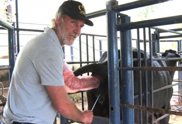 Eric Schachktebeck, médico veterinario y asesor de Ganadería La Sierra, explicó el procedimiento de transferencia de embriones, que es tan fácil como el de inseminación artificial. Foto: Ganadería La Sierra Transferencia de embriones, inseminación artificial, Ganadería La Sierra, procedimiento de transferencia de embriones, que es tan fácil como el de inseminación artificial, mejoramiento genético para las explotaciones ganaderas, condición de la receptora. Los pasos de la transferencia de embriones, Ganadería, ganadería Colombia, noticias ganaderas, noticias ganaderas Colombia, Contexto ganadero
