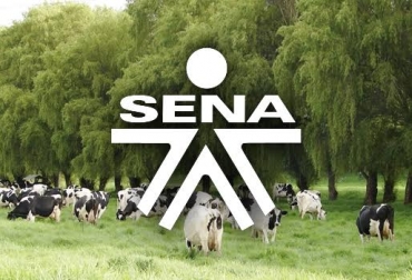 “Los módulos de aprendizaje estarán en aplicativo SOFIA PLUS del Sena”, anunció el proyecto Ganadería Colombiana Sostenible. Foto: trazaragro.oirsa.org - Wikipedia Alianza Ganadería colombiana sostenible y Sena, capacitación a estudiantes y egresados. Capacitación a instructores, transformación de la ganadería, armonía productiva con el medio ambiente, tres niveles, aplicativo SOFIA PLUS, CONtexto ganadero, noticias de ganadería colombiana.
