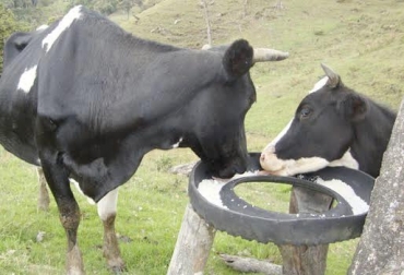 cuidado con las mezclas de la sal