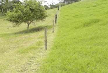 “Es indispensable corregir el rumbo del suelo y hacerlo más productivo con pastos de mayores nutrientes”, dijo Ramón Valbuena. Foto: manuelantonioweb.wordpress.com. Corregir suelos, trato del pasto como cultivo, plan de manejo, disminución de acidez, 7 estrategias, mayor nutrición, optima producción, productividad individual, CONtexto Ganadero, noticias de ganadería colombiana.
