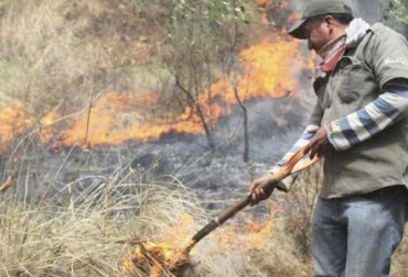 “Una de las causas más frecuentes de los incendios forestales son las quemas controladas, que muchas veces se salen de control”, dijo La profesora Dolors Armenteras. Foto: La Patria Quemas recurrentes, reducción del Bosque Seco Tropical, reserva Serranías de Casablanca, estudios Universidad Nacional y del Tolima, BST degradado, conservar los BST, control de enfermedades en ganadería, CONtexto Ganadero, noticias de ganadería colombiana.