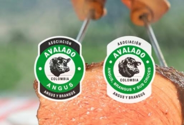 “El sello es una garantía de comprar una carne avalada por la Asociación Angus & Brangus de Colombia”, dijo Juan David Peláez. Foto: Asociación Angus y Brangus de Colombia. Sello de carne Angus y Brangus, carne de calidad, carne en condiciones de pastoreo, bienestar animal, practicas sostenibles, sello avala garantía y calidad, CONtexto ganadero, noticias de ganadería colombiana.