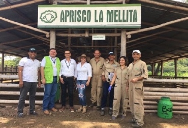 Certificadores del ICA con personal del Aprisco La Mellita, Codazzi. Foto: ICA Colombia, Cesar, Codazzi, Aprisco La Mellita, Ovinos, caprinos, certificación en BPG, certificación ICA, razas Katahdin y Santa Inés, mejoramiento genético, Resolución ICA 20277 de 2018, Ganadería, ganadería colombiana, noticias ganaderas, noticias ganaderas Colombia, CONtexto ganadero
