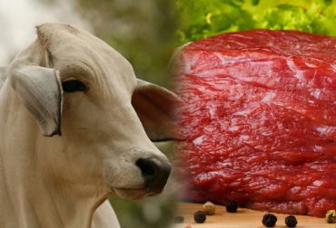 David Barreiro, director de la Revista Audiovisual Euro Carne, anuncia una revolución inminente, donde la carne debe convertirse en un producto amigable con el medio ambiente. Foto: CONtexto ganadero. Ganadería, ganadería colombia, noticias ganaderas, noticias ganaderas colombia, CONtexto ganadero, David Barreiro, Revista Audiovisual Euro Carne, IX Foro Internacional Ganadero, Beyond Meat, industria cárnica, Federación Colombiana de Ganaderos, fedegan, incremento de la demanda de carne, dióxido de carbono, óxido nitroso, Expo Agrofuturo, expo agrofuturo 2018