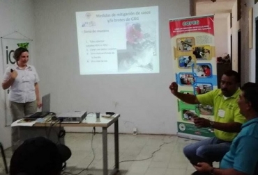 Durante dos días de encuentro, la autoridad sanitaria de Panamá, expuso a los asistentes su experiencia a nivel técnico y sanitario para erradicar y prevenir la presencia de este gusano. Foto: ICA gusano barrenador del ganado, Colombia, Panamá, Convenio entre el Instituto Colombiano Agropecuario y la Comisión Panamá- Estados Unidos para la Erradicación y Prevención del Gusano Barrenador del Ganado, COPEG, bicheras, gusaneras, Daño económica, C. hominivorax, C. bezziana, machos estériles, infestaciones, endectocidas, gusaneras, Chocó, Ganadería, ganadería colombiana, noticias ganaderas, noticias ganaderas Colombia, CONtexto ganadero.
