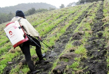 Las buenas prácticas de fertilización comienzan por realizar el análisis de suelos y actuar con base en él. Foto: La Hicotea Factoría Buenas prácticas fertilización, fertilización adecuada, Plan fertilización ganadería, plan fertilización suelos ganaderos, fertilización ganadería, fertilización clima frío, CONtexto ganadero, ganaderos colombia, noticias ganaderas colombia