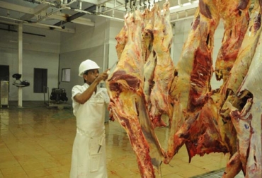 Entre agosto de 2017 y agosto de 2018, 3 frigoríficos y 2 acondicionadores han recibido la aprobación de cumplir con los requisitos del decreto 1500. Foto: Opinion Caribe Decreto 1500 agosto 2018, decreto 1500 agosto 2016, Decreto 1500 de 2007 Vigencia 2 años, decreto 1500 de 2007, estatus plantas de sacrificio 2018, decreto 1500 2018, plantas de sacrificio 2018, vigencia 2 años decreto 1500 plantas de beneficio, demoras decreto 1500, estado plantas de sacrificio del país, Invima, panorama plantas de sacrificio, CONtexto ganadero, ganaderos colombia, noticias ganaderas colombia