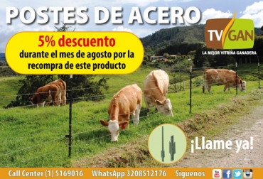 La promoción aplica para la recompra de un combo de 100 postes de acero. Foto: TVGAN Promoción TVGAN agosto 2018, TVGAN promociones agosto 2018, promoción tatuadoras TVGAN agosto 2018, báscula para ganado, Promociones TVGAN agosto 2018, productos ganado promoción, productos finca promoción, promoción TVGAN agosto 2018, productos finca promoción agosto 2018, CONtexto ganadero, ganaderos colombia, noticias ganaderas colombia