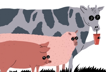 El mercado es cada vez más exigente con el bienestar animal. Foto: Agencia SINC. Ganadería, ganadería colombia, noticias ganaderas, noticias ganaderas colombia, CONtexto ganadero, Bienestar Animal, bienestar animal en ganadería, Bienestar animal bovinos, manejo animal, 5 libertades del ganado, buen Bienestar animal, bienestar animal trabajadores, bienestar animal riesgo laboral, Animales mansos mejor producción carne y leche, bovinos mansos, Amanse y adiestramiento en bovinos, manejo de bovinos, Bovinos mansos mejor producción de carne y leche, Salud Animal, manejo bovino, respeto por l