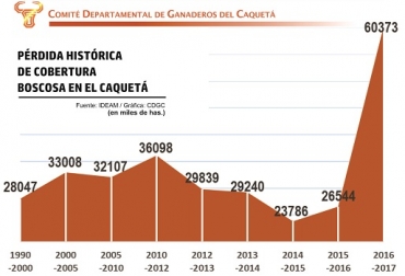 Así se ha ido perdiendo la cobertura boscosa en el Departamento del Caquetá. Fuente: IDEAM – Gráfica Comité departamental de Ganaderos del Caquetá. Deforestación, Amazonía caqueteña, procesos de deforestación y praderización, minería ilegal, cultivos de uso ilícito, extracción legal e ilegal de madera, pérdida del área boscosa, tala y quema del bosque, flora y fauna amazónica afectadas, Pacto Caquetá: cero deforestación y reconciliación ganadera, Comité Departamental de Ganaderos del Caquetá, ganadería amigable, desarrollo sostenible regional, Ganadería, ganadería colombiana, noticias ganaderas, noticias ganaderas Colombia, CONtexto ganadero