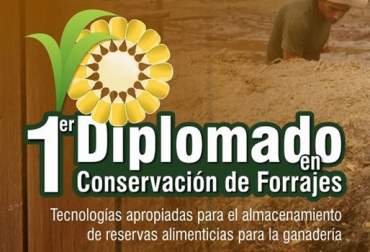 Todavía tiene la oportunidad de inscribirse al diplomado organizado por Gestión Ganadera y Acovez. Foto: Cortesía Gestión Ganadera, primer diplomado en conservación de forrajes, diplomado conservación forrajes 2018, capacitaciones para ganaderos, Conservar alimento para el ganado, capacitaciones para conservar alimento, Seminario en producción de ensilaje, Mantenga su producción en épocas difíciles, CONtexto ganadero, ganaderos colombia, noticias ganaderas colombia