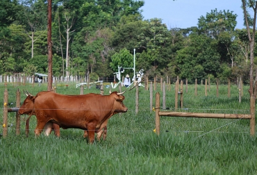 El sistema Eddy Covariance implementado en conjunto entre la Universidad Nacional y Agrosavia permitió el desarrollo del estudio. Foto: Fausto Moreno - Agencia de Noticias UN. ganadería, ganadería colombia, noticias ganaderas, noticias ganaderas colombia, contexto ganadero, técnica Eddy covariance, gases de efecto invernadero, GEI, Fausto Camilo Moreno Vásquez, Yolanda Rubiano Sanabria, Universidad Nacional, metodología Eddy covariance, Open Path, agroecosistema ganadero, generación de dióxido de carbono, Machine Learning, Big Data, universidad nacional, agrosavia