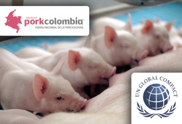 El gremio de la porcicultora se unió a esta iniciativa que ya cuenta con más de 13 mil entidades firmantes en 170 países. Foto: porkcolombia.co Pacto Mundial Porkcolombia 2018, Porkcolombia 2018, Porkcolombia Objetivos de desarrollo sostenible mundial, objetivo, asoporcicultores 2018, Porkcolombia medio ambiente, porcicultores de colombia, Asociación Colombiana de Porcicultores, porcinos en colombia, crecimiento sector porcino, ganadería porcina, producción porcina en colombia, CONtexto ganadero, ganadería colombia, noticias ganaderas colombia