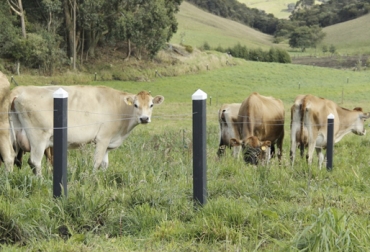 Para contener los animales debemos tener como mínimo 3,5Kv en la cerca. Foto: intera.com.co Cerca eléctrica, 5 pasos a tener una cerca eléctrica exitosa, Ganadería, ganadería colombiana, noticias ganaderas, noticias ganaderas Colombia, CONtexto ganadero