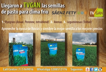 La vitrina ganadera más importante de Colombia ofrece otra promoción para este mes de octubre. Foto: TVGAN promo octubre tvgan, tvgan promociones, TVGAN promociones octubre 2018, semillas de pasto para clima frío TVGAN, productos ganado promoción, Promociones TVGAN octubre 2018, productos finca promoción, promoción TVGAN octubre 2018, CONtexto ganadero, ganaderos colombia, noticias ganaderas colombia