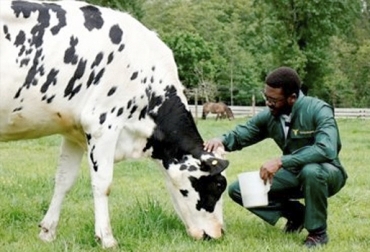 Usted puede utilizar estos indicadores para establecer cómo está aplicando el bienestar animal en su predio. Foto: Diario Alerta Bienestar animal, indicadores bienestar animal, medir bienestar animal, indicadores para monitorear bienestar animal, bienestar animal en ganaderías, bienestar animal en bovinos, bienestar animal ganado, bienestar animal ganadería, CONtexto ganadero, ganaderos Colombia, noticias ganaderas Colombia