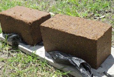 Agrosavia recomienda a los ganaderos implementar los bloques nutricionales en temporadas críticas. Foto: zoovetesmipasion.com. Ministerio de Ambiente, Ricardo Lozano, Taller Construyendo País, Ganadería, ganadería colombia, noticias ganaderas, noticias ganaderas colombia, CONtexto ganadero, IDEAM, fenómeno de El Niño, fenómeno de el niño en colombia, clima colombia, NOAA, Alternativas para enfrentar una sequía prolongada en la ganadería colombiana, Agrosavia, agrosavia colombia, fedegan, fedegán colombia, Ministerio de Agricultura, Juan Lucas Restrepo, bloques nutricionales, sorgo forrajero