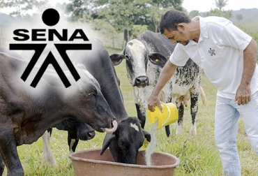 SENA estrechará vínculos y transferencia de conocimiento con los ... SENA estrechará vínculos y transferencia de conocimiento con los ...