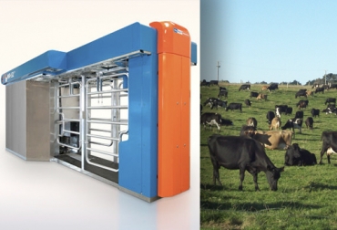 Para algunos expertos, la tecnología del ordeño robotizado puede emplearse en ganaderías de pastoreo. Foto: AgriExpo - CONtexto ganadero ordeño robotizado pastoreo, Ordeño robotizado en sistemas de pastoreo, ordeño pastoreo, ordeño en ganaderías de pastoreo, Ordeño voluntario, ordeño robotizado, vacas ordeño voluntario, explicación sobre ordeño voluntario, robot para ordeño, Tipos de sala de ordeño, equipos de ordeño, ordeño robotizado sistemas pastoriles, Tecnología en ganadería, tecnología en el campo, ordeño robotizado, ganadería colombiana, CONtexto ganadero, ganaderos colombia, noticias ganaderas colombia