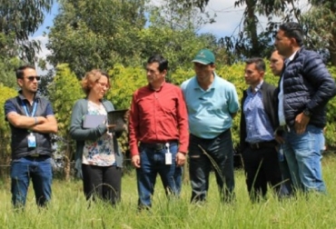 Además de intercambiar experiencias la reunión tuvo por objeto fortalecer la capacidad de investigación, vinculación y adopción de tecnologías agrosilvopastoriles en zonas secas y de trópico altoandino. Foto: agrosavia AGROSAVIA, Embrapa, Procitropicos /IICA, desarrollo agrosilvopastoril en Colombia, desarrollo agrosilvopastoril para zonas secas y de trópico alto en Colombia, Vanderley Porfirio Da-Silva, Jamil Macedo, fortalecer la capacidad de investigación, vinculación y adopción de tecnologías agrosilvopastoriles en zonas secas y de trópico altoandino, Ph.D. Sonia Ospina, Ganadería, ganadería colombiana, noticias ganaderas, noticias ganaderas Colombia, CONtexto ganadero