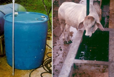 Esta mezcla se realiza en un tanque con un tubo perforado con 10 agujeros, por los cuales fluye el aire comprimido. Foto: Cortesía. Suplemento de urea en ganado bovino, suplemento urea rumiantes, alimentación urea ganado bovino, intoxicación urea ganado bovino, uso de urea en dietas de bovinos, prevenir intoxicación urea bovinos, dieta balanceada bovinos, dieta bovinos, CONtexto ganadero, ganaderos Colombia, noticias ganaderas Colombia