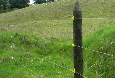 Para que la cerca cuente con un buen fluido de corriente, es necesario poner el polo a tierra en un sitio con buena humedad. Foto: super-fox.com Cerca eléctrica, humedad cerca eléctrica, cerca eléctrica Colombia, Instalación cercas eléctricas, Errores instalación cercas eléctricas, errores cercas eléctricas, polo a tierra, cerca eléctrica polo a tierra, ganadería cerca eléctrica, paneles solares, cercas eléctricas, energías renovables, comercialización, tecnologías para el sector ganadero, CONtexto ganadero, ganaderos Colombia, noticias ganaderas Colombia