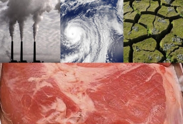 “Cambio climático podría afectar la calidad organoléptica y el contenido nutricional de la carne”, dijo Juan Carlos Quintero Valencia. Foto: Ladyverd - El Independiente Cambio climático, calidad de la carne, altibajos de temperatura, animales en confinamiento, raciones con bajo contenido de proteínas, ración alta en grasa, pre acondicionamiento al calor, CONtexto ganadero, noticias de ganadería colombiana.