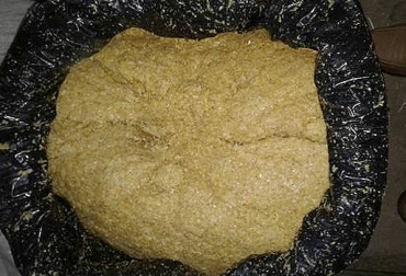 El gluten húmedo es un alimento relativamente económico para los productores, aunque solo es comercializado en Colombia por Ingredion y deben pedir grandes cantidades. Foto: Engormix Gluten húmedo para bovinos, Forraje húmedo, corn gluten feed húmedo, corn gluten feed Colombia, gluten húmedo Colombia, gluten húmedo bovinos Colombia, alternativas de dietas para vacas lecheras, harina de maíz, harina de maíz para bovinos, molienda seca, molienda húmeda, CONtexto ganadero, ganadería Colombia, Noticias ganaderas Colombia