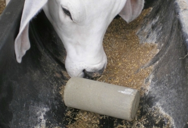 Estas cualidades permiten evaluar la calidad de un suplemento mineral para el ganado. Foto: perulactea.com Cualidades de suplemento mineral en bovinos, suministro de minerales en bovinos, suplementos minerales en bovinos, suplementos minerales en vacas, Luis Albornoz, minerales en vacas, minerales en bovinos, CONtexto ganadero, ganadería Colombia, Noticias ganaderas Colombia