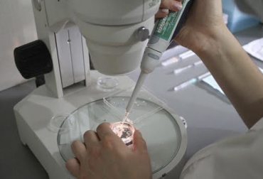 “Transferencia de embriones permite sacar el mayor provecho a la genética de los vacunos y multiplicarla en cada gestación”, dijo Carlos Gómez. Foto: agropecuaria2g.com Inseminar con genes existentes, transferir genética a pequeñas ganaderías, transferencia de embriones mejoraría productividad, mejoramiento genético, proceso de reglamentación, planes de transferencia de embriones en diferentes zonas, comités ganaderos pueden solicitar planes de transferencia de embriones, multiplicación de genes, mejoramiento productivo, CONtexto ganadero, noticias de ganadería colombiana.