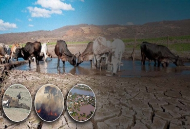 Los productores deben atender las recomendaciones de las autoridades locales y nacionales. Foto: CONtexto ganadero. Ministerio de Ambiente, Ricardo Lozano, Ganadería, ganadería colombia, noticias ganaderas, noticias ganaderas colombia, CONtexto ganadero, IDEAM, fenómeno de El Niño, fenómeno de el niño en colombia, clima colombia, NOAA, Alternativas para enfrentar una sequía prolongada en la ganadería colombiana,