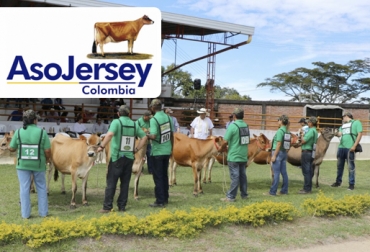 La Asociación Colombiana de Criadores de Ganado Jersey anunció su agenda para el primer semestre de 2019. Foto: Asojersey Asojersey 2019, actividades Asojersey 2019, junta directiva Asojersey, Asamblea Asojersey 2019, registro ganado Jersey puro, 1 Encuentro Latinoamericano Jersey 2019, Asojersey Agroexpo 2019, proyectos Asojersey, proyectos Asojersey 2019, tarde académica Asojersey, Exponovillas Jersey, ganado Jersey Colombia, Fedegán Asojersey 2019, presidente Asojersey 2019, CONtexto ganadero, ganaderos colombia, noticias ganaderas colombia