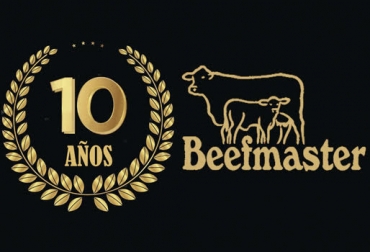 “Vamos a debutar con la I Exposición Beefmaster en el marco de Expofinca de Medellin”, dijo Adriana Botero Álvarez. Foto: asociacionbeefmaster.com Beefmaster celebra 10 años de actividades, participación Beefmaster en grandes eventos, transferencia de conocimiento, promoción Beefmaster, feria Beefmaster de Houston, CONtexto ganadero, noticias de ganadería colombiana.